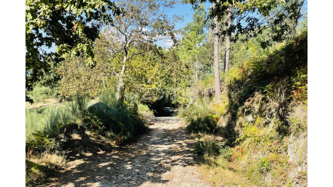 Terreno para Venda em Caniçada e Soengas Foto 35