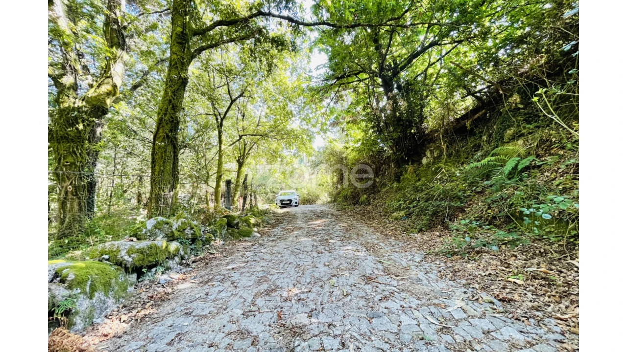 Terreno para Venda em Caniçada e Soengas Foto 40