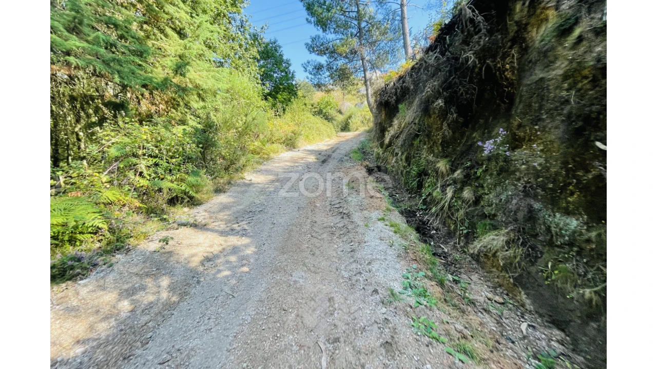 Terreno para Venda em Caniçada e Soengas Foto 43