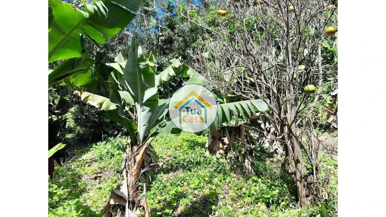 Terreno para Venda em Calheta Foto 2