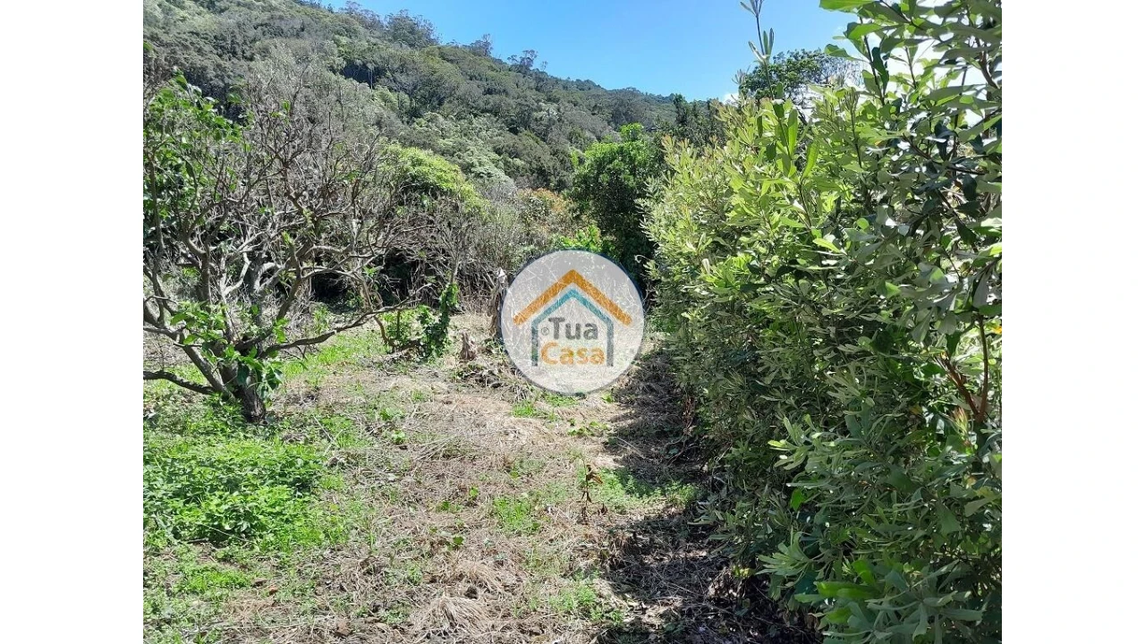 Terreno para Venda em Calheta Foto 7