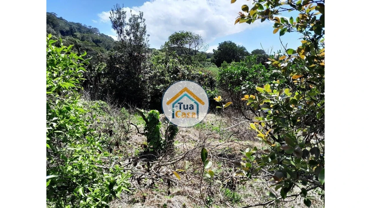 Terreno para Venda em Calheta Foto 8