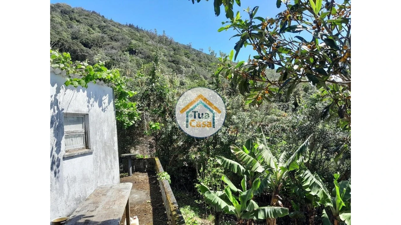 Terreno para Venda em Calheta Foto 21