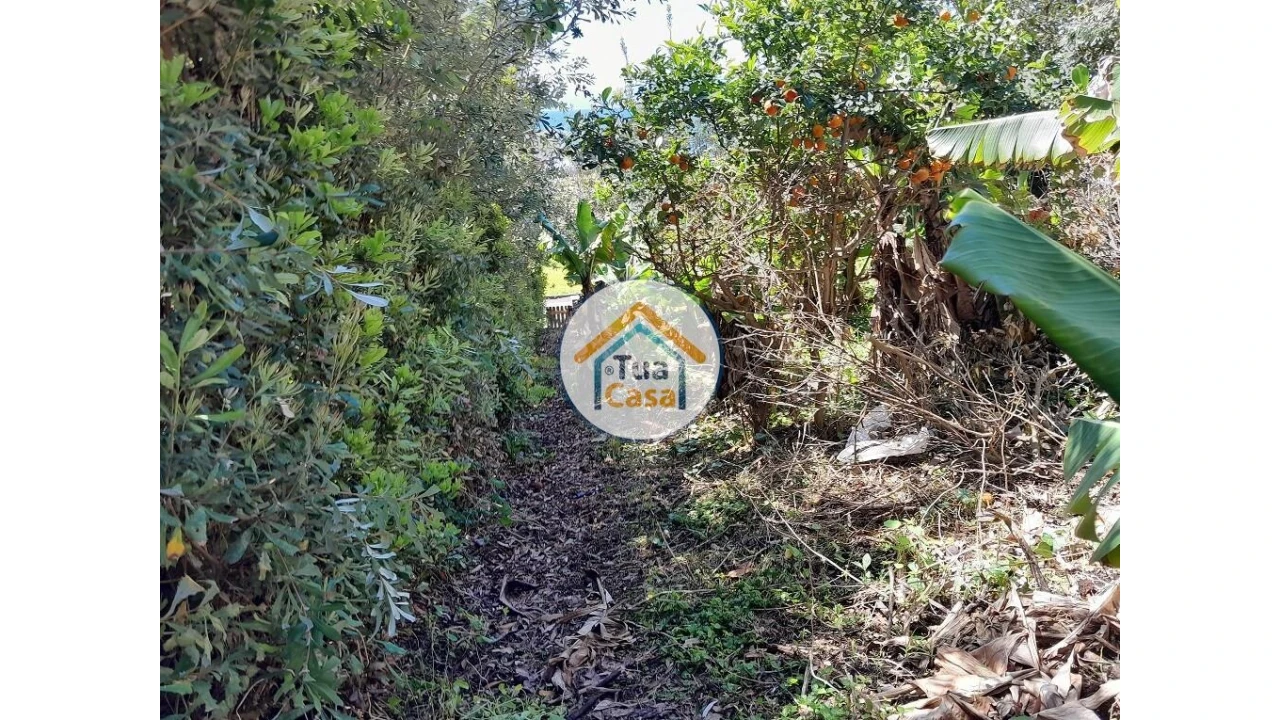 Terreno para Venda em Calheta Foto 25