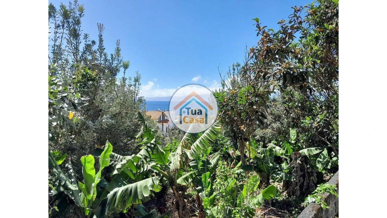 Terreno para Venda em Calheta Foto 24