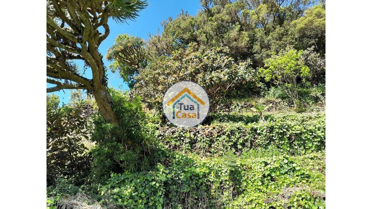 Terreno para Venda em Calheta Foto 14