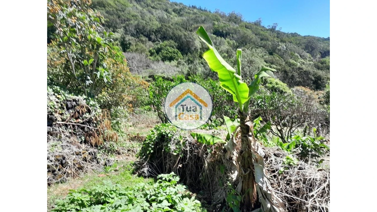 Terreno para Venda em Calheta Foto 16