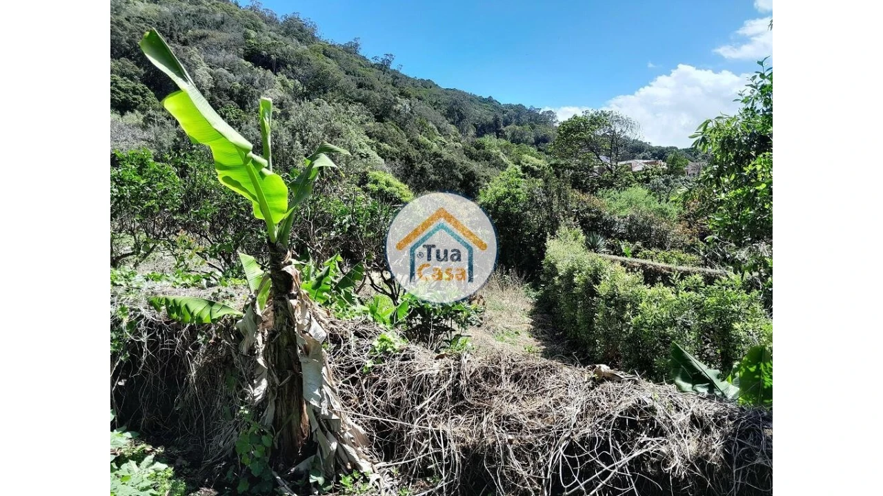 Terreno para Venda em Calheta Foto 15