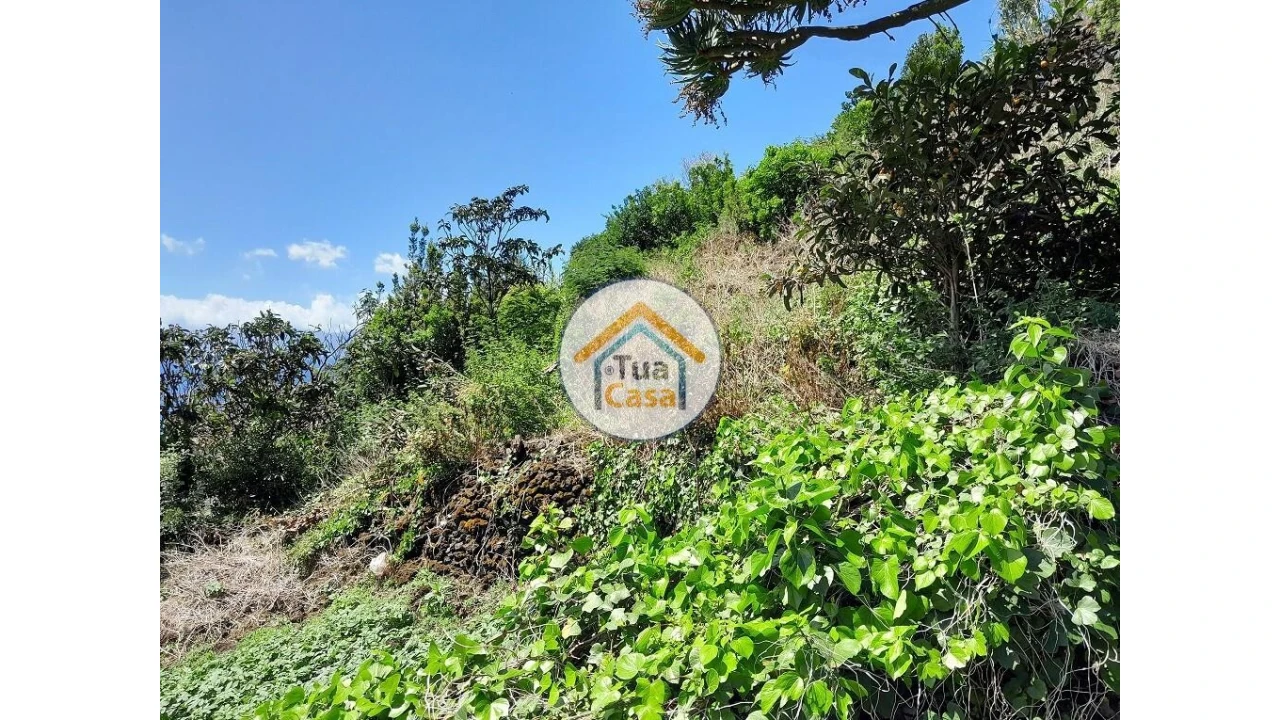Terreno para Venda em Calheta Foto 12