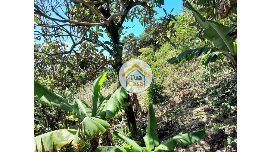 Terreno para Venda em Calheta Foto 4