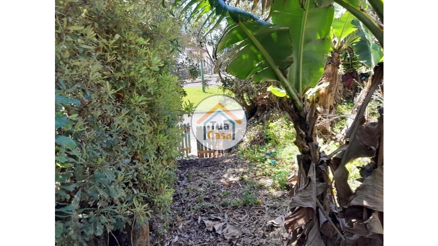 Terreno para Venda em Calheta Foto 26