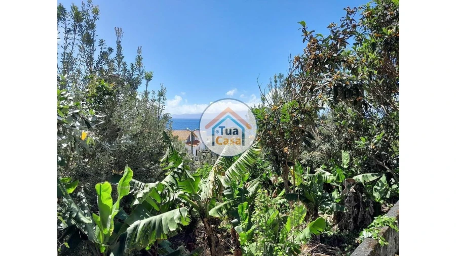 Terreno para Venda em Calheta Foto 24