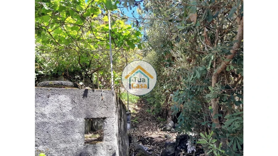 Terreno para Venda em Calheta Foto 3
