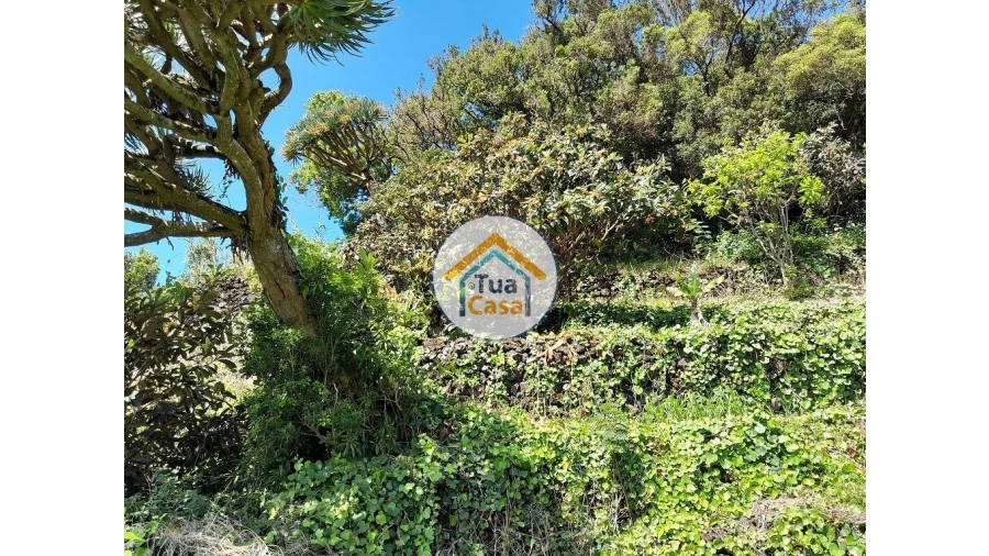 Terreno para Venda em Calheta Foto 14