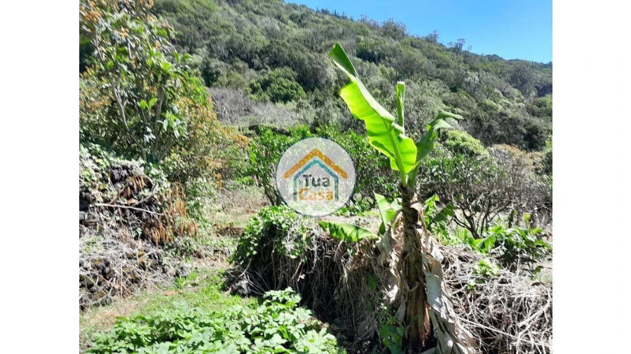 Terreno para Venda em Calheta Foto 16