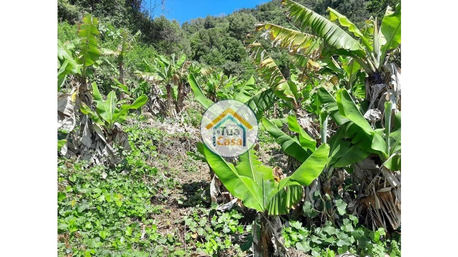 Terreno para Venda em Calheta Foto 10