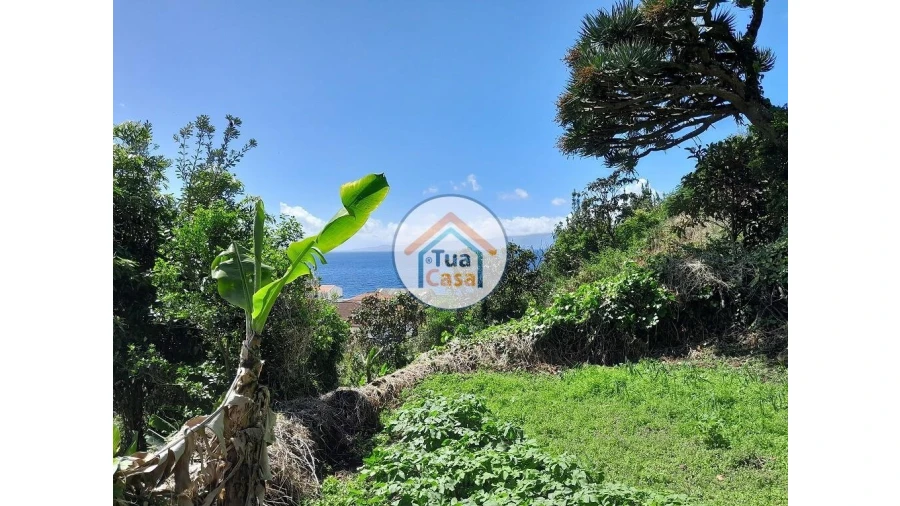 Terreno para Venda em Calheta Foto 9