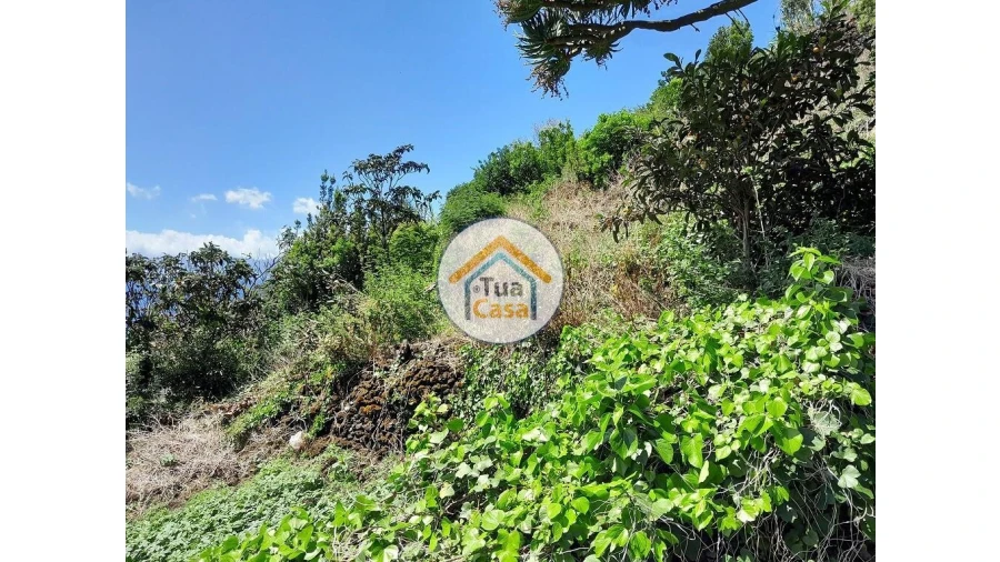 Terreno para Venda em Calheta Foto 12