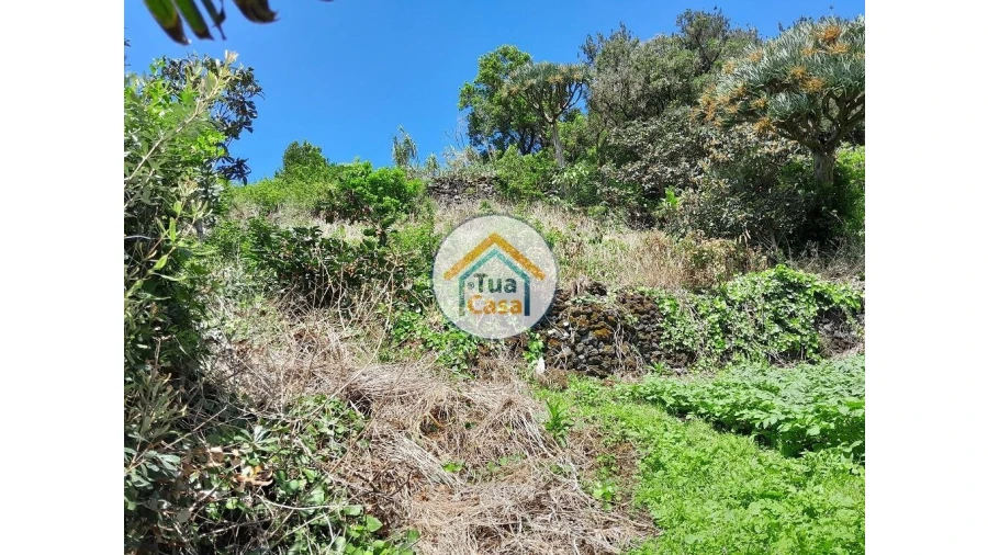 Terreno para Venda em Calheta Foto 6