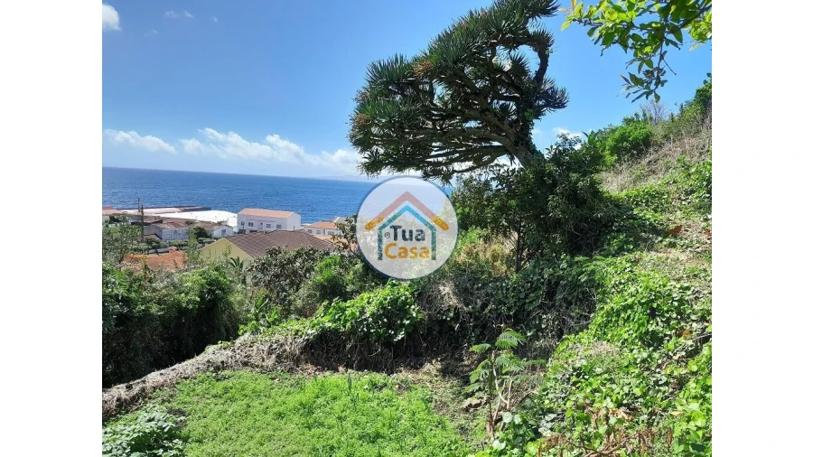 Terreno para Venda em Calheta Foto 11