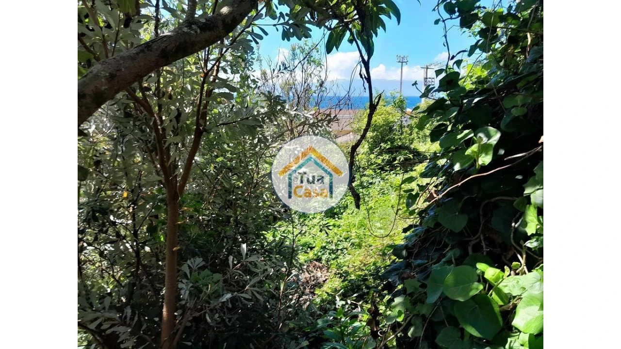 Terreno para Venda em Calheta Foto 20