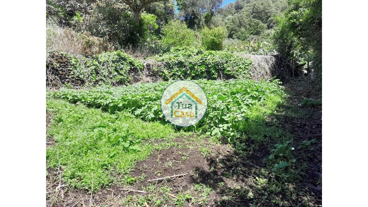 Terreno para Venda em Calheta Foto 5