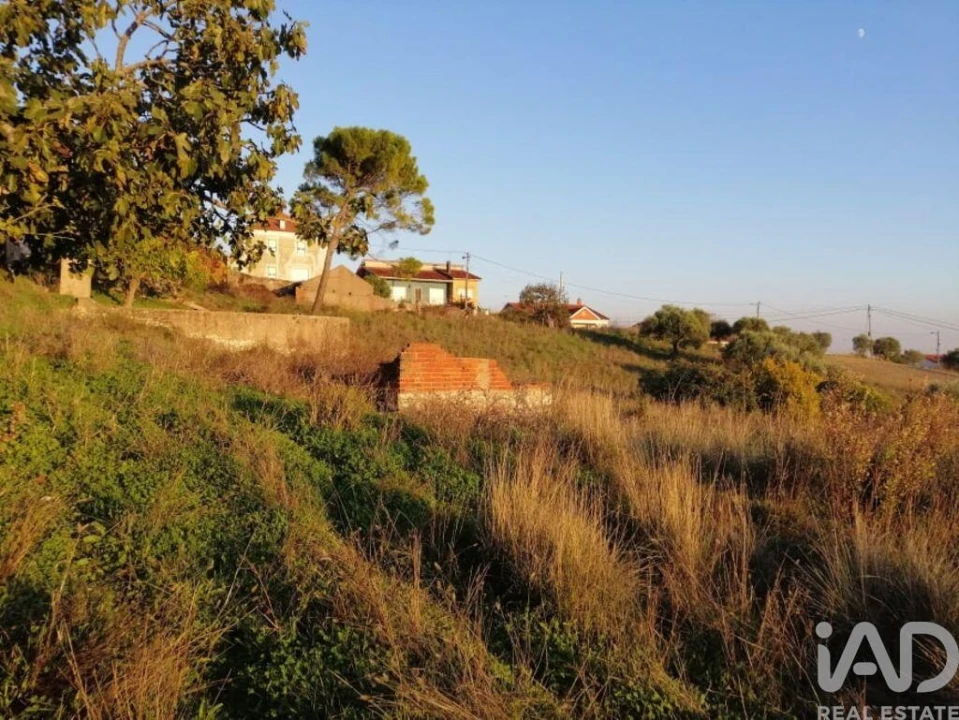 Moradia para Venda em Torres Novas (São Pedro), Lapas e Ribeira Branca Foto 5