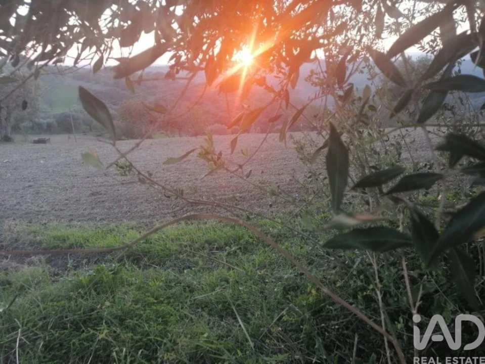 Moradia para Venda em Torres Novas (São Pedro), Lapas e Ribeira Branca Foto 7