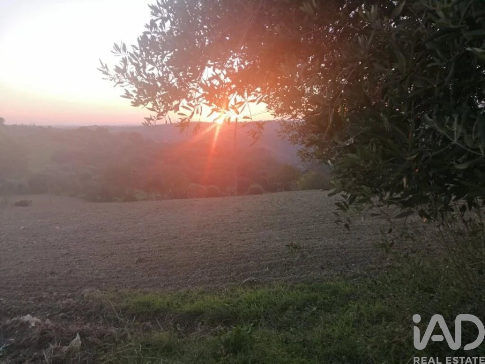 Moradia para Venda em Torres Novas (São Pedro), Lapas e Ribeira Branca Foto 8