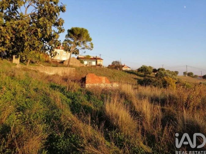 Moradia para Venda em Torres Novas (São Pedro), Lapas e Ribeira Branca Foto 5