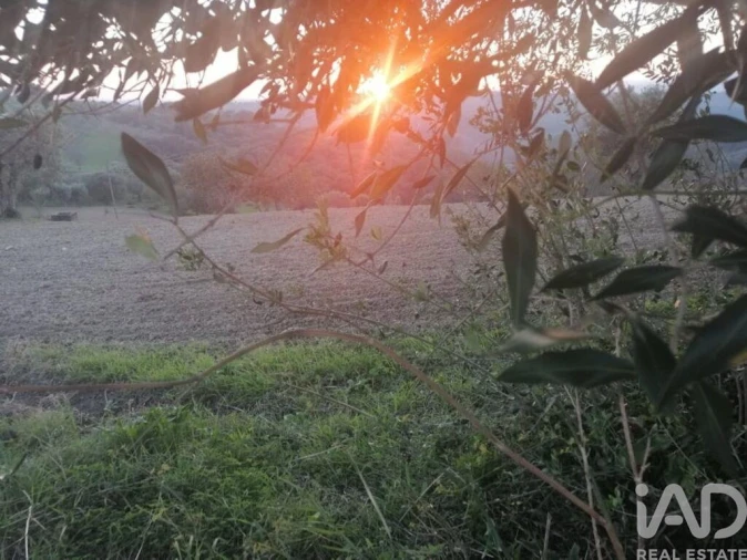 Moradia para Venda em Torres Novas (São Pedro), Lapas e Ribeira Branca Foto 7
