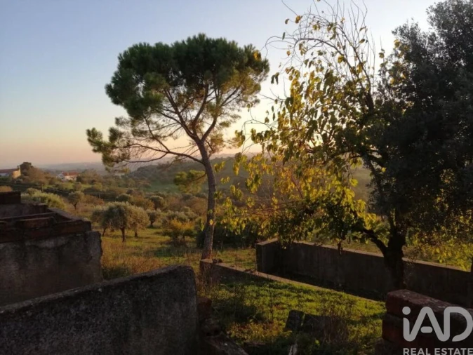 Moradia para Venda em Torres Novas (São Pedro), Lapas e Ribeira Branca Foto 22