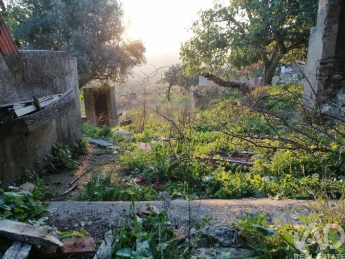 Moradia para Venda em Torres Novas (São Pedro), Lapas e Ribeira Branca Foto 26