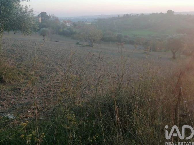 Moradia para Venda em Torres Novas (São Pedro), Lapas e Ribeira Branca Foto 11