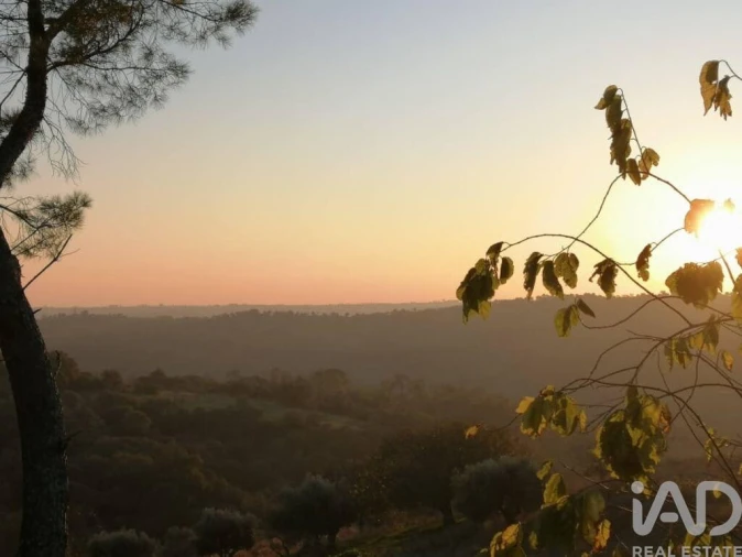 Moradia para Venda em Torres Novas (São Pedro), Lapas e Ribeira Branca Foto 14