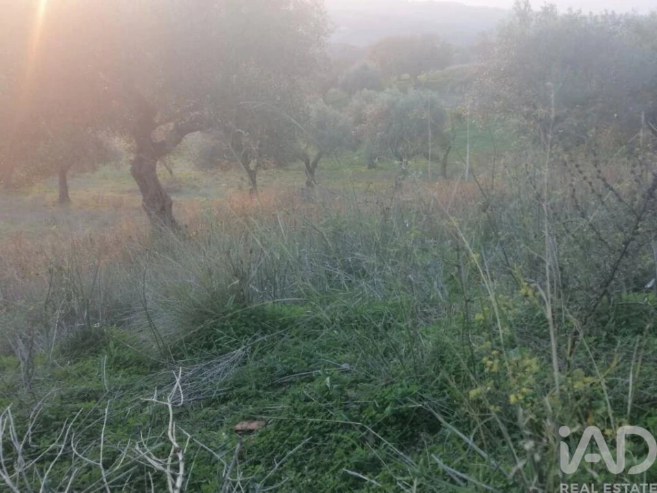 Moradia para Venda em Torres Novas (São Pedro), Lapas e Ribeira Branca Foto 12