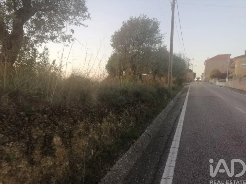 Moradia para Venda em Torres Novas (São Pedro), Lapas e Ribeira Branca Foto 6