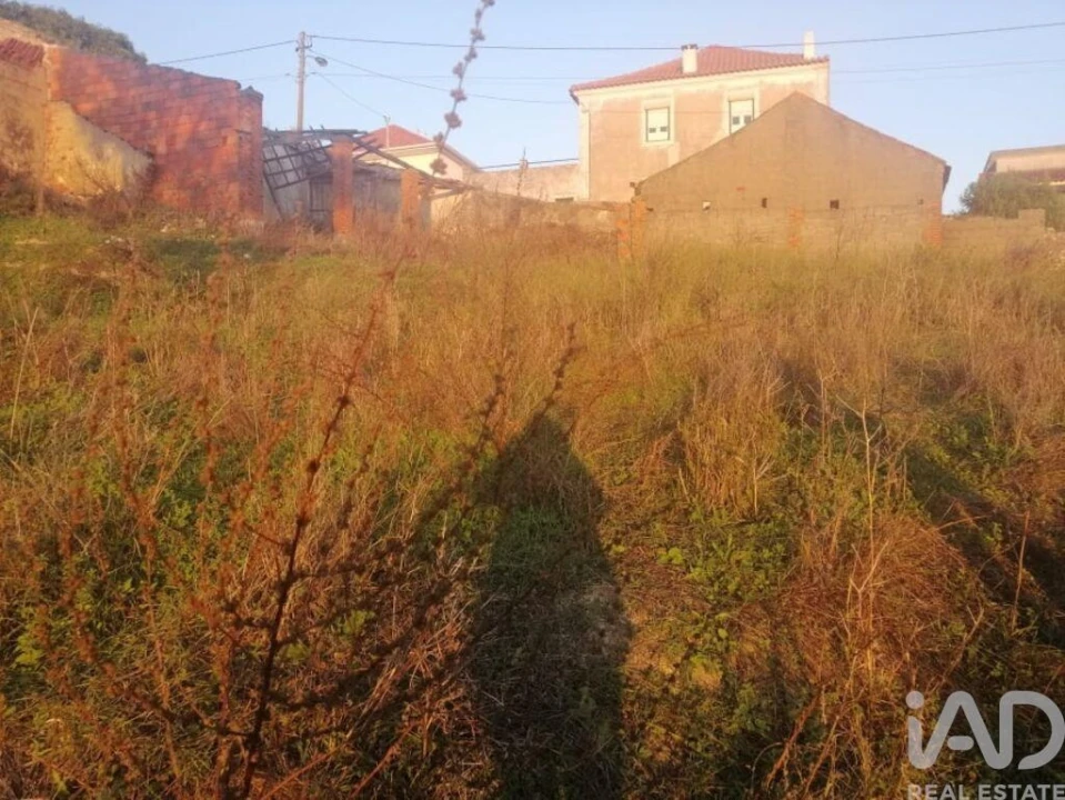 Moradia para Venda em Torres Novas (São Pedro), Lapas e Ribeira Branca Foto 13