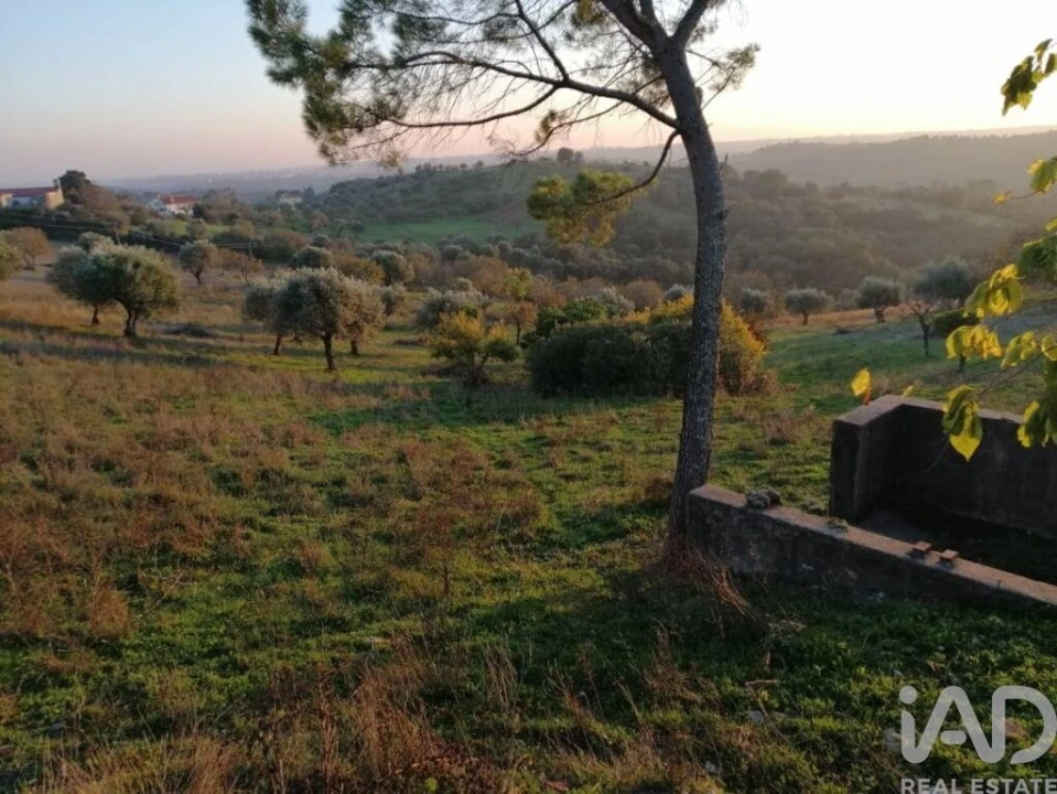 Moradia para Venda em Torres Novas (São Pedro), Lapas e Ribeira Branca Foto 29