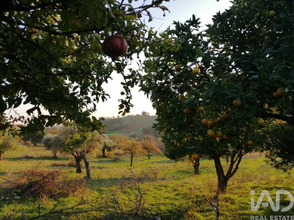 Moradia para Venda em Torres Novas (São Pedro), Lapas e Ribeira Branca Foto 20