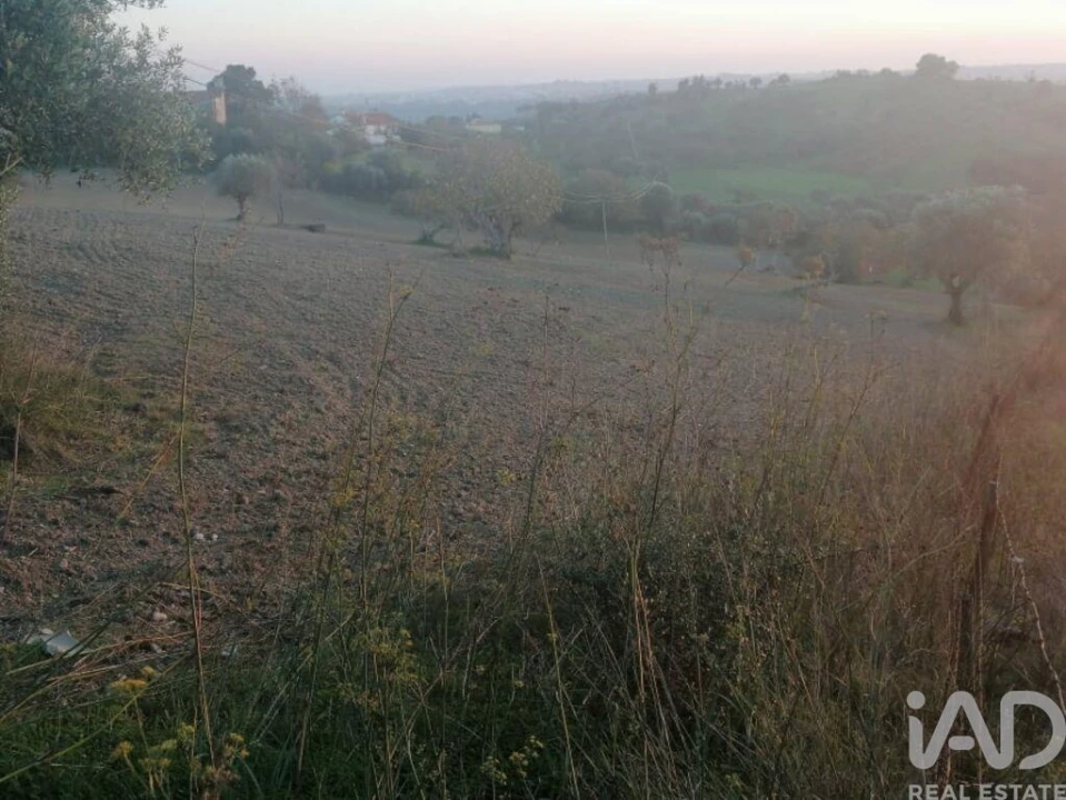 Moradia para Venda em Torres Novas (São Pedro), Lapas e Ribeira Branca Foto 11
