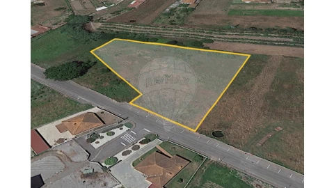 Terreno para Venda em Bustos, Troviscal e Mamarrosa
