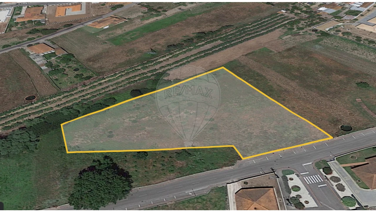 Terreno para Venda em Bustos, Troviscal e Mamarrosa Foto 1