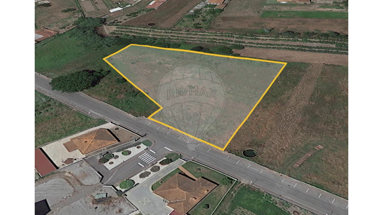 Terreno para Venda em Bustos, Troviscal e Mamarrosa Foto 2