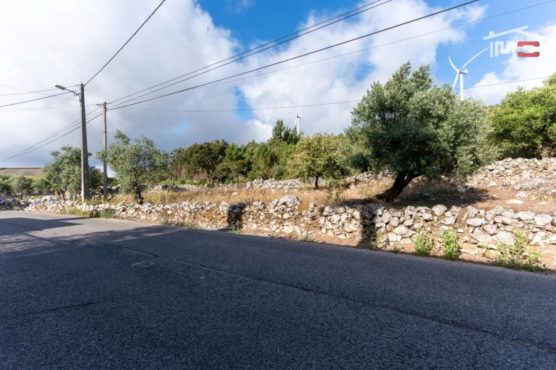 Terreno Agricola ou Rústico para Venda em São Mamede Foto 4