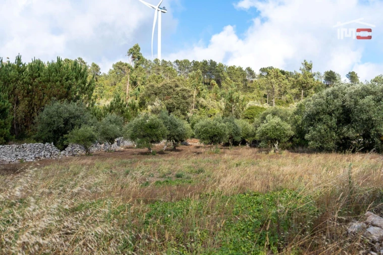 Terreno Agricola ou Rústico para Venda em São Mamede Foto 8
