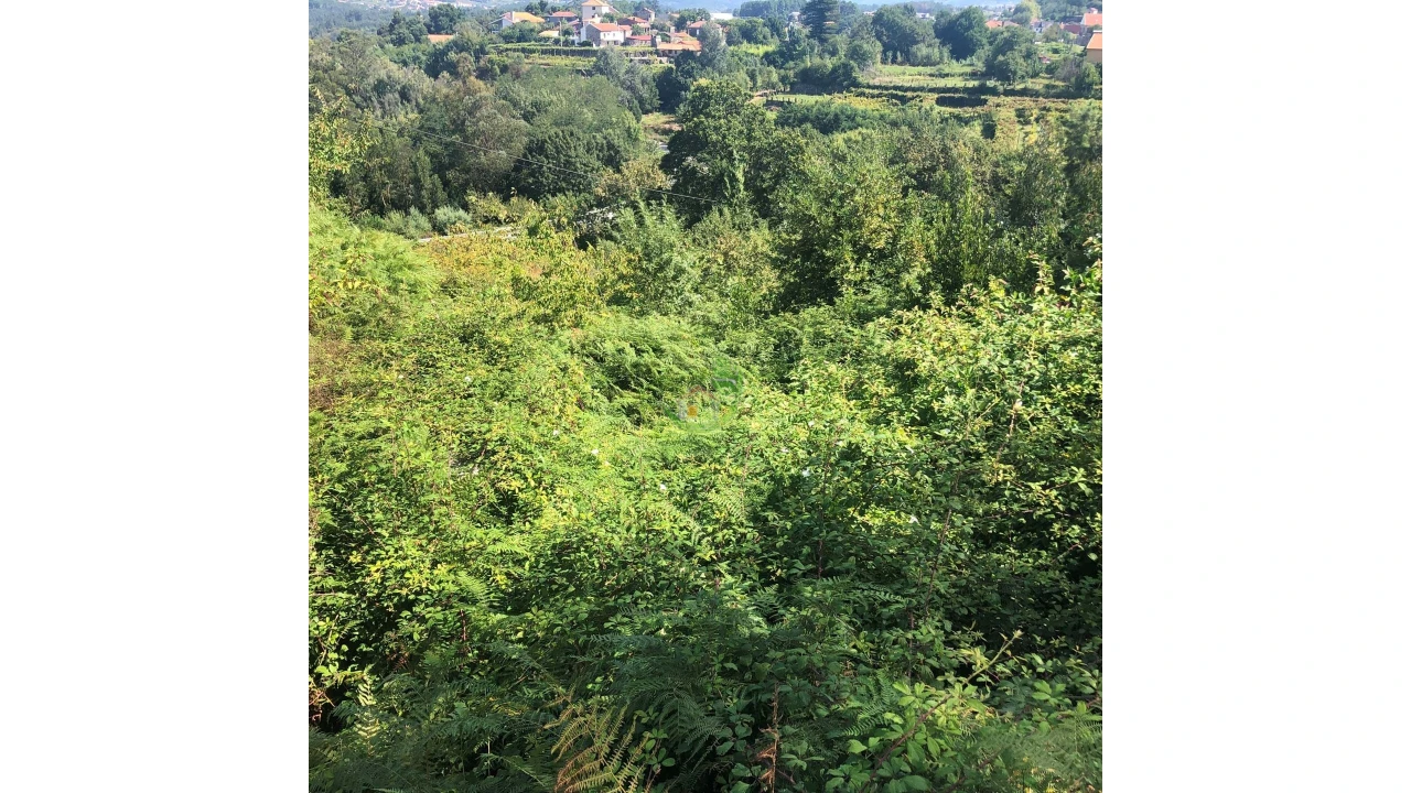 Terreno para Venda em Penso Foto 9