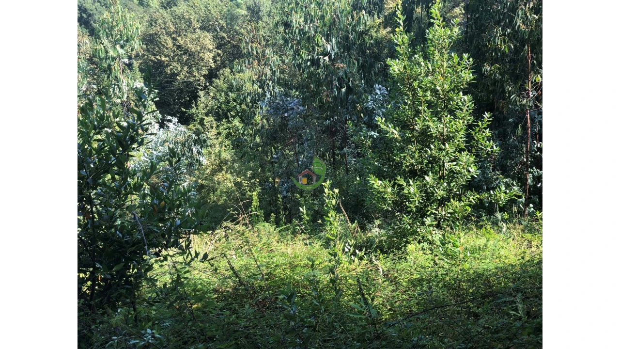 Terreno para Venda em Penso Foto 4