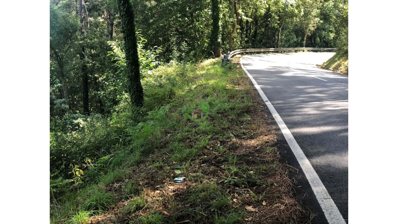 Terreno para Venda em Penso Foto 3