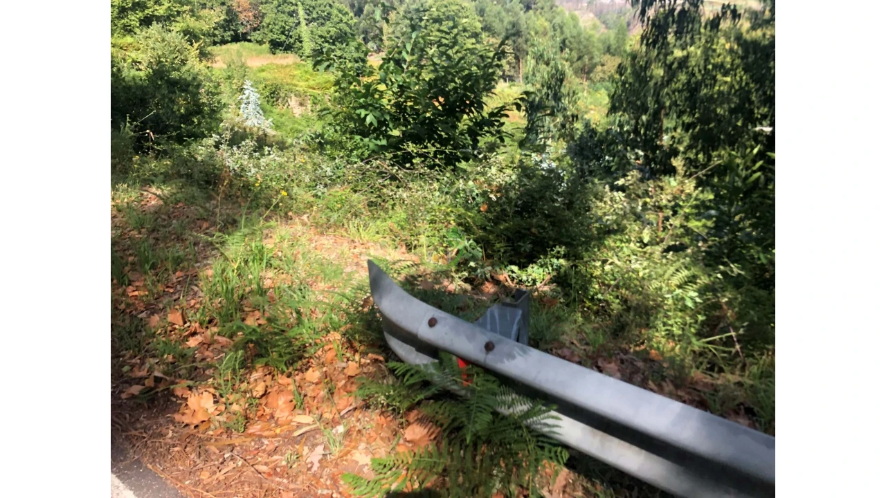 Terreno para Venda em Penso Foto 7